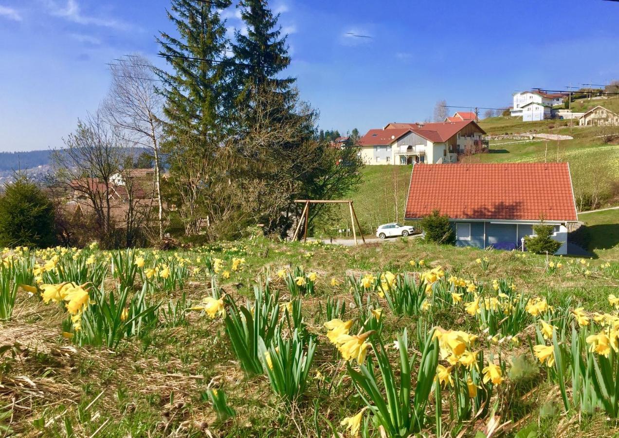 Chalet Le Flocon Bleu - Mauselaine Avec Vue Sur Le Lac De Gérardmer Exteriér fotografie