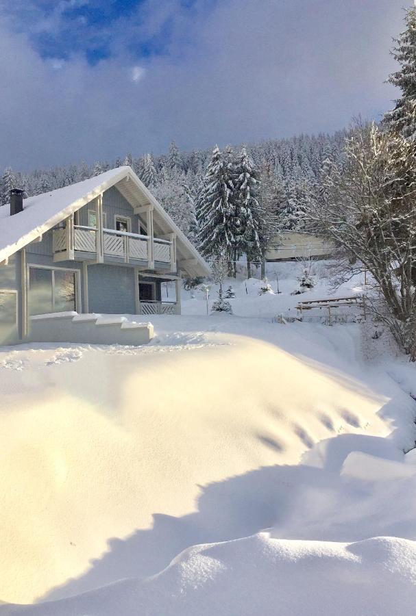 Chalet Le Flocon Bleu - Mauselaine Avec Vue Sur Le Lac De Gérardmer Exteriér fotografie