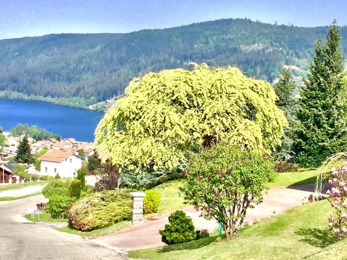 Chalet Le Flocon Bleu - Mauselaine Avec Vue Sur Le Lac De Gérardmer Exteriér fotografie