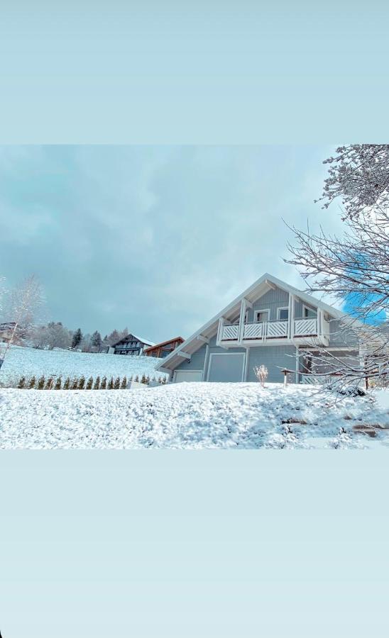 Chalet Le Flocon Bleu - Mauselaine Avec Vue Sur Le Lac De Gérardmer Exteriér fotografie